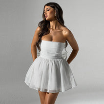Elegant Mesh Lace Tube Dress with Back Bow Detail