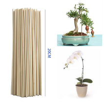 Wooden Plant Grow Support Bamboo Plant Sticks Garden Ca