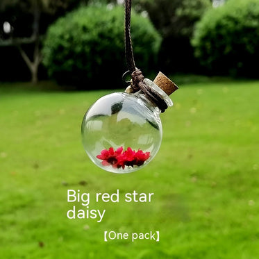 red-star-chrysanthemum