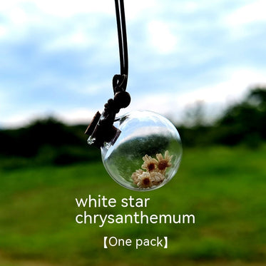 white-star-chrysanthemum