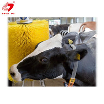 Electric & Unpowered Cow Body Brush – Livestock Grooming Scrubber