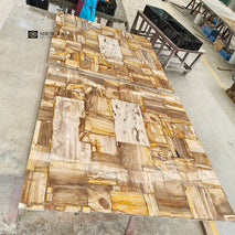 Unique Irregular Light Brown Natural Fossil Stone Petrified Wood Table Top