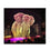 Buy Large Hologram Gauze Projector Screen 3D Holographic Stage Projection Display Hologram Mesh Screen Wholesale B2B