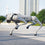 Buy Unitree Go2 AI Robot Dog – Smart Autonomous Quadruped Wholesale B2B
