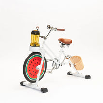 2025 Bike with a Blender NEW Blender Bicycles Blender Bike Smoothie Bike Blender BlenderBike Kid Mixer Stationary Commercial Other Fruit And Vegetable Machines Pedal Fruit Blender Smoothies Bike