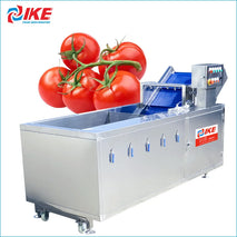 Buy Vegetable and Fruit Cleaning Machine: Tomato Washer Equipment at Competitive Prices Wholesale B2B