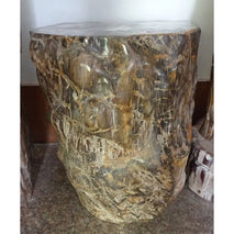 Petrified Wood  fossil Wood Stone Carving Stool Landscaping Stones for Sale