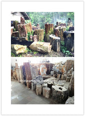 Antique Garden Petrified Wood Chair Table and Bench