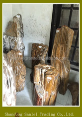 Petrified Wood  fossil Wood Stone Carving Stool Landscaping Stones for Sale