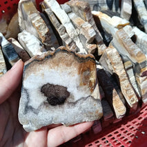 Wholesale Natural High Quality Petrified Wood Slice Healing Crystal Quartz Piece Craft for Decoration