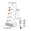 15.6" Android 14 Touch Screen Digital Menu Board - Battery-Powered Countertop Display with 4+64GB Storage for Restaurants