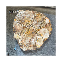 Unique Irregular Light Brown Natural Fossil Stone Petrified Wood Table Top