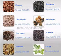 304 Stainless Steel Manual Oil Press – Home Oil Extractor for Peanut, Walnut & Rapeseed