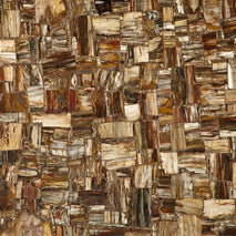 Square Cutting Natural Fossil Petrified Wood Table Gemstone Agate Semiprecious Stone