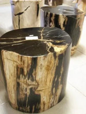 Fossil Petrified Wood Old Stone Coffee Rectangular Round Living Room Terrace Table