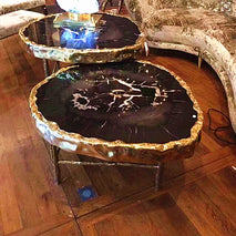 Buy Natural Gemstone Wood fossil Stone Countertop Petrified Wood Slab Table Top Wholesale B2B