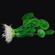 Trendy Retail Non Toxic Environment Friendly Simulation Plastic Aquatic Plants Aquarium Ornament Decorations Green