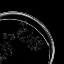 Trendy Retail Acrylic Fresh Salt Water Shrimp Small Tropical Fish Ratfish Feeding Dish Aquarium Tank Supplies Pattern Winter Jasmine