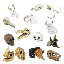 Trendy Retail Reptile Vivarium Decoration Tortoise Lizard Breading Basking Hide Cave Skull Head