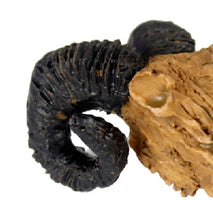 Trendy Retail Resin Goat Skull Aquarium Landscaping Ornament Reptile Vivarium Decoration