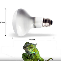 Trendy Retail E27 Tortoise Reptile Vivarium Light Beneficial UVA Basking Lamp Heat Bulb 50W