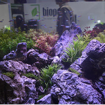 Trendy Retail EU Plug LED Air Bubble Light Fish Tank Aquarium Landscape Light Color Changing