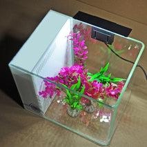 Trendy Retail 5W LED Aquarium Light Arm Clip on Plant Grow Fish Tank Lighting Lamp-White Light EU Plug 220V