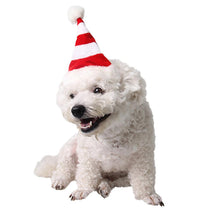 Trendy Retail Adjustable Pet Cat Dog Christmas Cap Xmas Party Accessory Small Pets Hats