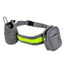 Trendy Retail Dog Walking Lead with Strong Handle With Waist Purse Handsfree n Reflective