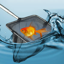 Trendy Retail Telescopic Lightweight Folding Fishing Landing Net 3 Section Extending Pole Micro Mesh