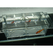 Trendy Retail Floating Aquarium Fish Breeder Box Isolation Box Breeder Hatchery Incubator