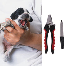 Trendy Retail Professional Stainless Steel Pet Dog Cat Nail Toe Trimmer Clippers With FREE Nail File for Small, Medium and Large Dogs