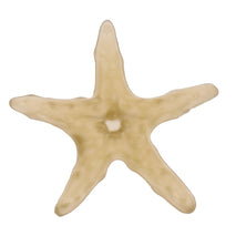 Trendy Retail 10pcs Decorative Rock Luminous Artificial Stones Aquarium Fish Tank Decor