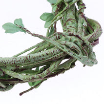 Trendy Retail Bendable Reptiles Vine Green Jungle Climber Vines Terrarium Habitat Decor