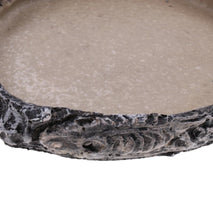 Trendy Retail Reptile Vivarium Terrarium Feeding Bowl Tortoise lizard Gecko Tarantula Water Food Worm Feeder Basin Shaped