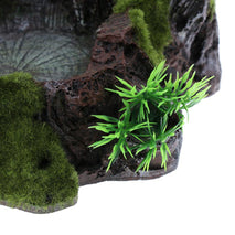 Trendy Retail Plant Moss Decorative Resin Roack Bowl Food Water Dish Feeder Plate for Terrarium Reptile Tanks