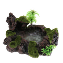 Trendy Retail Plant Moss Decorative Resin Roack Bowl Food Water Dish Feeder Plate for Terrarium Reptile Tanks