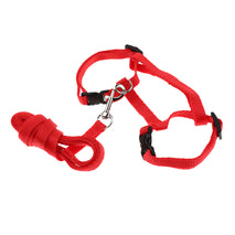 Trendy Retail Small Pet Rabbit Harness Traction Rope Pet leash Harness Nylon Random Color Pet Supplies Outdoor