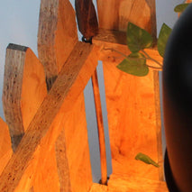 Trendy Retail Wooden Picket Fence Lawn Edging Reptile Turtle Exercising Training Fence