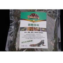 Trendy Retail Reptile Terrarium Decor Substrate Natural Green Moss for Winter Supplies