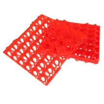 Pet Groomer | Pet Store | Pet Supply Store | Pet Supplies | Pet Accessories | Pet Accessories shop near me | Pet Accessories near me | Pet Accessories Online|  5Pcs Multi-Use Storage and Transportation Tray for 30 Eggs