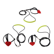 Pet Groomer | Pet Store | Pet Supply Store | Pet Supplies | Pet Accessories | Pet Accessories shop near me | Pet Accessories near me | Pet Accessories Online|  Bird Parrot Harness Leash Pet Rope For Birds Outdoor Training Leash  XS	