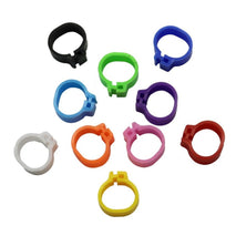 Pet Groomer | Pet Store | Pet Supply Store | Pet Supplies | Pet Accessories | Pet Accessories shop near me | Pet Accessories near me | Pet Accessories Online|  100pcs personal racing pigeon ring for leg bands  Multi-color