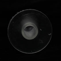 Trendy Retail Lamb Teat Feeder Feeding Soft Drink Bottle Topper Farm Screw on Teat Clear