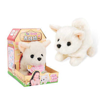 Toys | Kids Toys | Toys | Kids toys for girls | kids toys for boys | Kids Toys for Intrest | Kids toys for Boys 4+ years | Bay & Todler Toys | Kids Toys Online