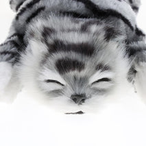 Toys | Kids Toys | Toys | Kids toys for girls | kids toys for boys | Kids Toys for Intrest | Kids toys for Boys 4+ years | Bay & Todler Toys | Kids Toys Online