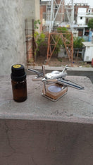 Solar Powered Car Perfume Diffuser/Dispenser | Aeroplane Glider Design