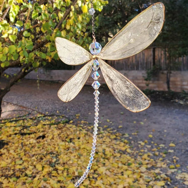 dragonfly