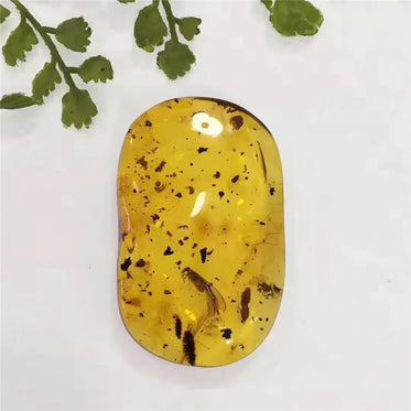 48-8x31-1x11-5mm-mexico-natural-yellow-amber-loose-stone