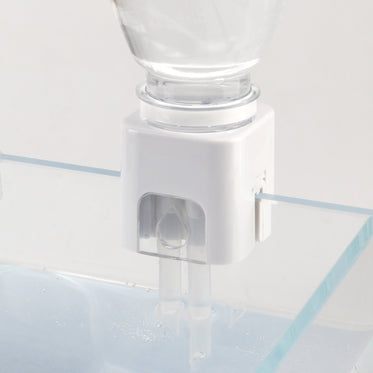 transparent-with-international-adapter